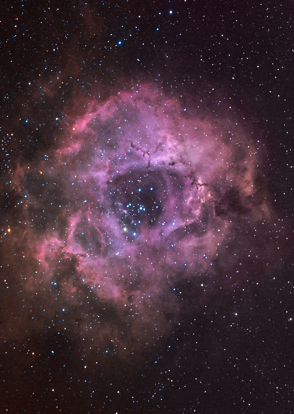 The Rosette Nebula (or The Skull) | Deography by Dylan O'Donnell
